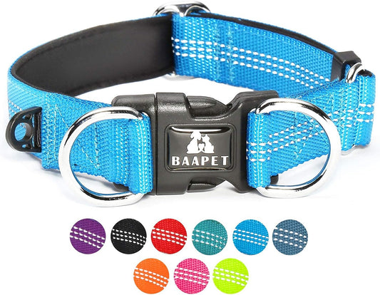 Comfortable Dog Collar with Double Security Dual D-Ring and ID Tag Hanger for Small Puppy, (XS - 3/4" X (9"-13"), Black)