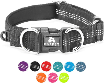 Comfortable Dog Collar with Double Security Dual D-Ring and ID Tag Hanger for Small Puppy, (XS - 3/4" X (9"-13"), Black)