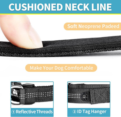 Comfortable Dog Collar with Double Security Dual D-Ring and ID Tag Hanger for Small Puppy, Medium and Large Dogs (XS - 3/4" X (9"-13"), Black)