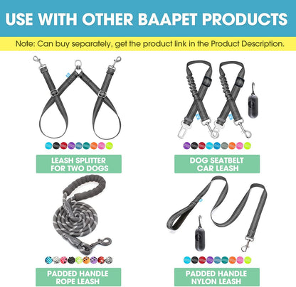 Comfortable Dog Collar with Double Security Dual D-Ring and ID Tag Hanger for Small Puppy, Medium and Large Dogs (XS - 3/4" X (9"-13"), Black)