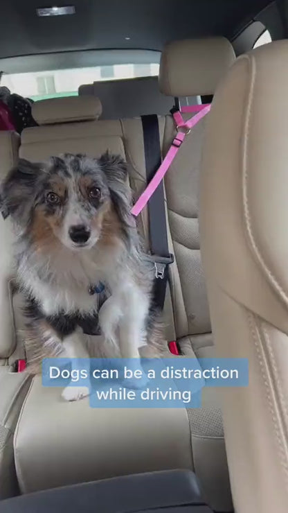 Pet Car Seat Belt